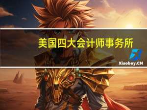 美国四大会计师事务所