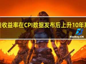 美国国债收益率在CPI数据发布后上升10年期收益率上涨7.20个基点达到4.336%