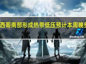 美国国家飓风中心表示在墨西哥南部形成热带低压预计本周晚些时候将在该海域中部发展成飓风