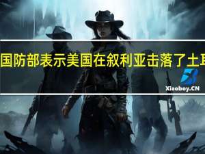 美国国防部表示美国在叙利亚击落了土耳其无人机