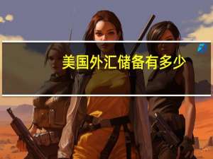 美国外汇储备有多少