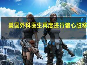 美国外科医生再度进行猪心脏移植，力图拯救一名危在旦夕的患者