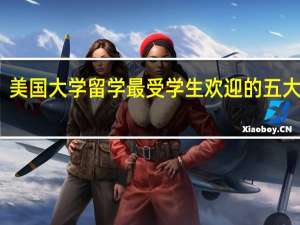 美国大学留学最受学生欢迎的五大专业