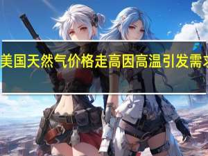 美国天然气价格走高因高温引发需求增加
