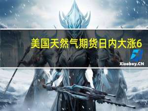美国天然气期货日内大涨6.00%现报2.817美元/百万英热