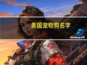 美国宠物狗名字