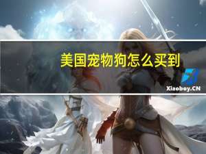 美国宠物狗怎么买到