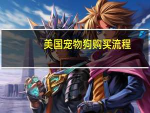 美国宠物狗购买流程
