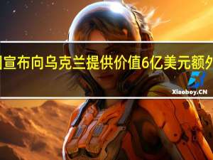 美国宣布向乌克兰提供价值6亿美元额外安全援助