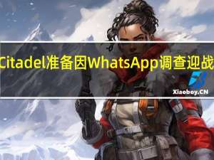 美国对冲基金Citadel准备因WhatsApp调查迎战SEC 到底什么情况嘞
