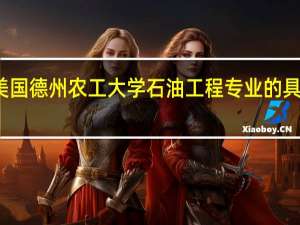 美国德州农工大学石油工程专业的具体介绍