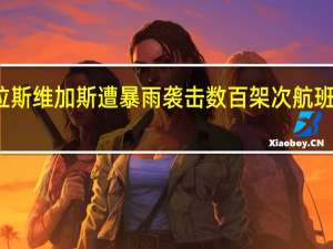 美国拉斯维加斯遭暴雨袭击数百架次航班延误或取消