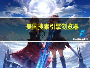 美国搜索引擎浏览器（美国搜索引擎）