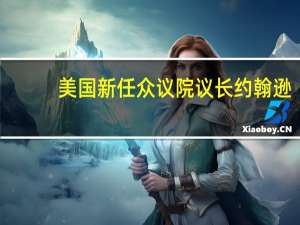美国新任众议院议长约翰逊：将成立两党债务委员会