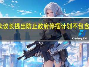 美国新众议长提出防止政府停摆计划 不包含对乌对以援助