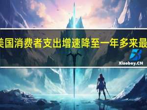 美国消费者支出增速降至一年多来最低水平