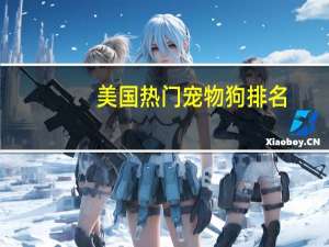 美国热门宠物狗排名