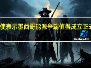 美国特使表示墨西哥能源争端值得成立正式的贸易小组