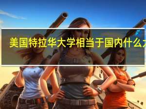 美国特拉华大学相当于国内什么大学