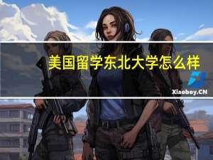 美国留学东北大学怎么样