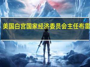 美国白宫国家经济委员会主任布雷纳德：全球经济存在一些薄弱环节可能会面临一些阻力