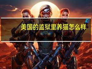 美国的监狱里养猫怎么样