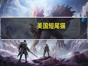 美国短尾猫（美国短尾猫价格）