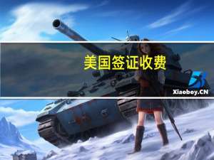 美国签证收费(美国使馆签证费多少钱)