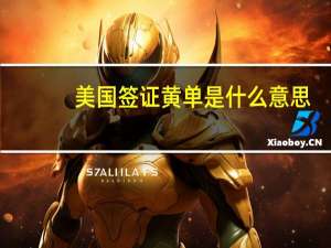美国签证黄单是什么意思