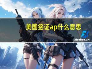 美国签证ap什么意思