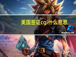 美国签证cgi什么意思