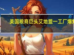 美国粮商巨头艾地盟一工厂爆炸