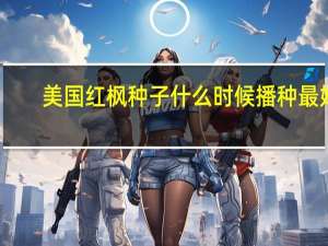 美国红枫种子什么时候播种最好