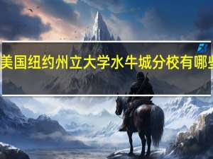 美国纽约州立大学水牛城分校有哪些专业