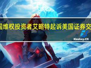 美国维权投资者艾略特起诉美国证券交易委员会