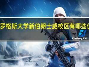 美国罗格斯大学新伯朗士威校区有哪些优势专业啊