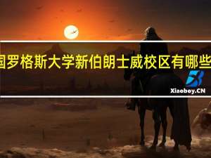 美国罗格斯大学新伯朗士威校区有哪些优势专业