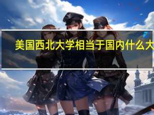 美国西北大学相当于国内什么大学