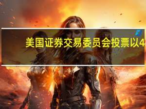 美国证券交易委员会（SEC）投票以4-1票批准实施新版基金命名制度