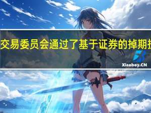 美国证券交易委员会（SEC）通过了基于证券的掉期执行平台的规则