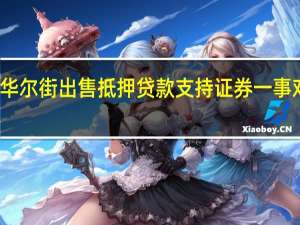 美国证券交易委员会（MBS）针对向华尔街出售抵押贷款支持证券一事对一家主要抵押贷款机构展开调查