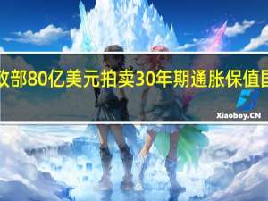 美国财政部80亿美元拍卖30年期通胀保值国债（TIPS）得标利率1.970%30年期TIPS收益率目前报1.95%左右