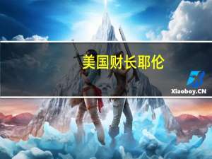 美国财长耶伦：没有看到劳动力市场过热的证据