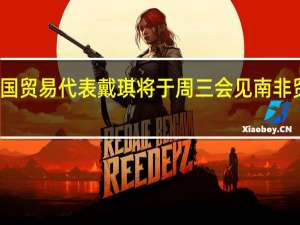 美国贸易代表戴琪将于周三会见南非贸易部长