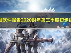 美国软件报告2020财年第三季度初步结果