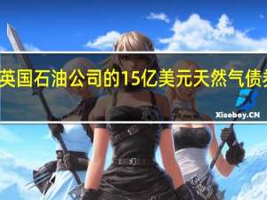 美国银行在英国石油公司的15亿美元天然气债券销售起牵头作用