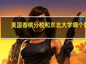 美国香槟分校和东北大学哪个好