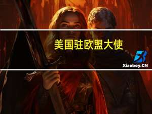 美国驻欧盟大使：将协助重建乌克兰这是自马歇尔计划以来最大的计划