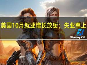 美国10月就业增长放缓；失业率上升至3.9%