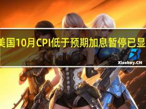 美国10月CPI低于预期 加息暂停已显而易见